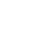L en Particulier